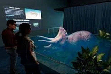 Types of Hologram Walls